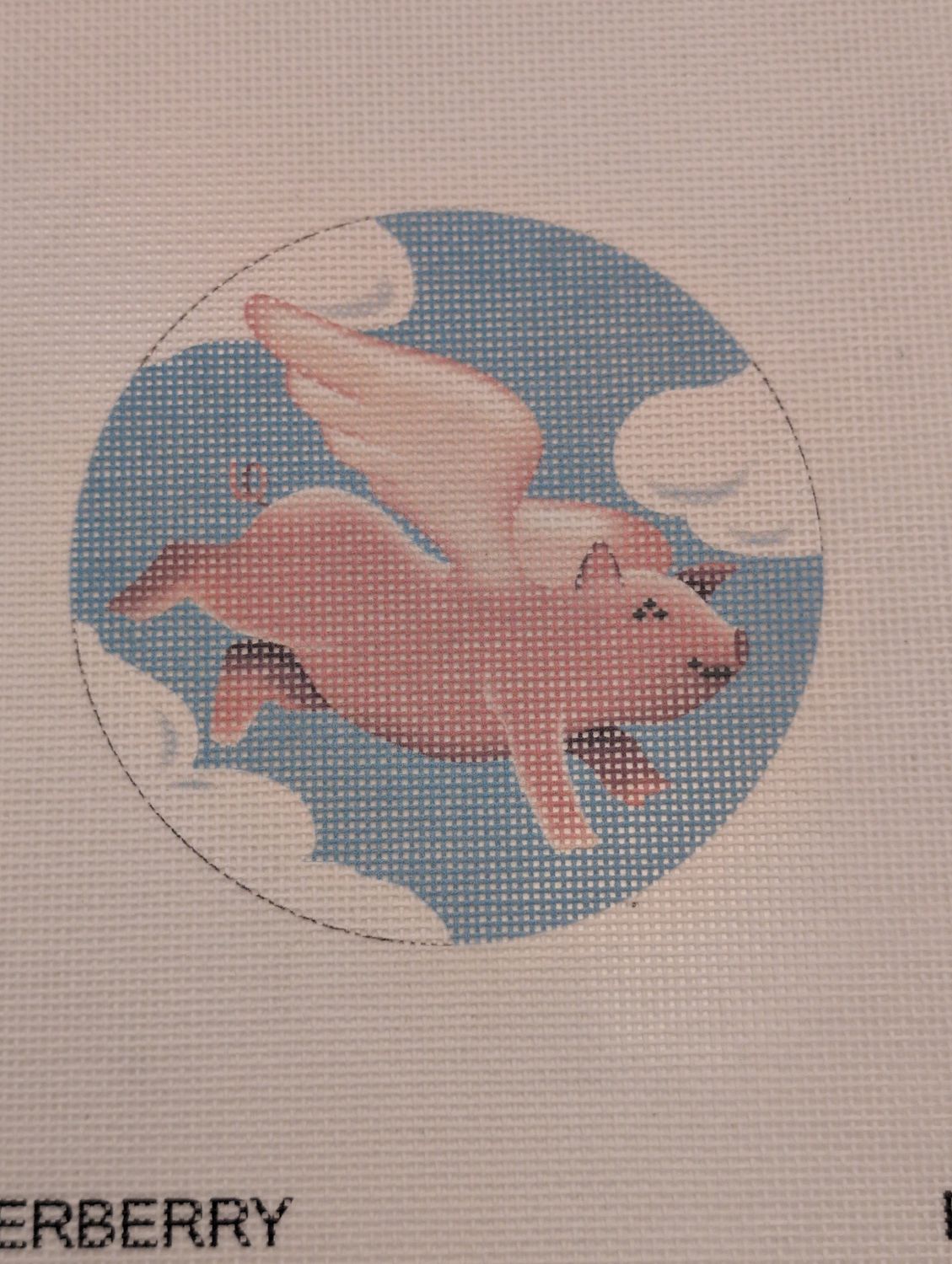 Flying Pig With Clouds