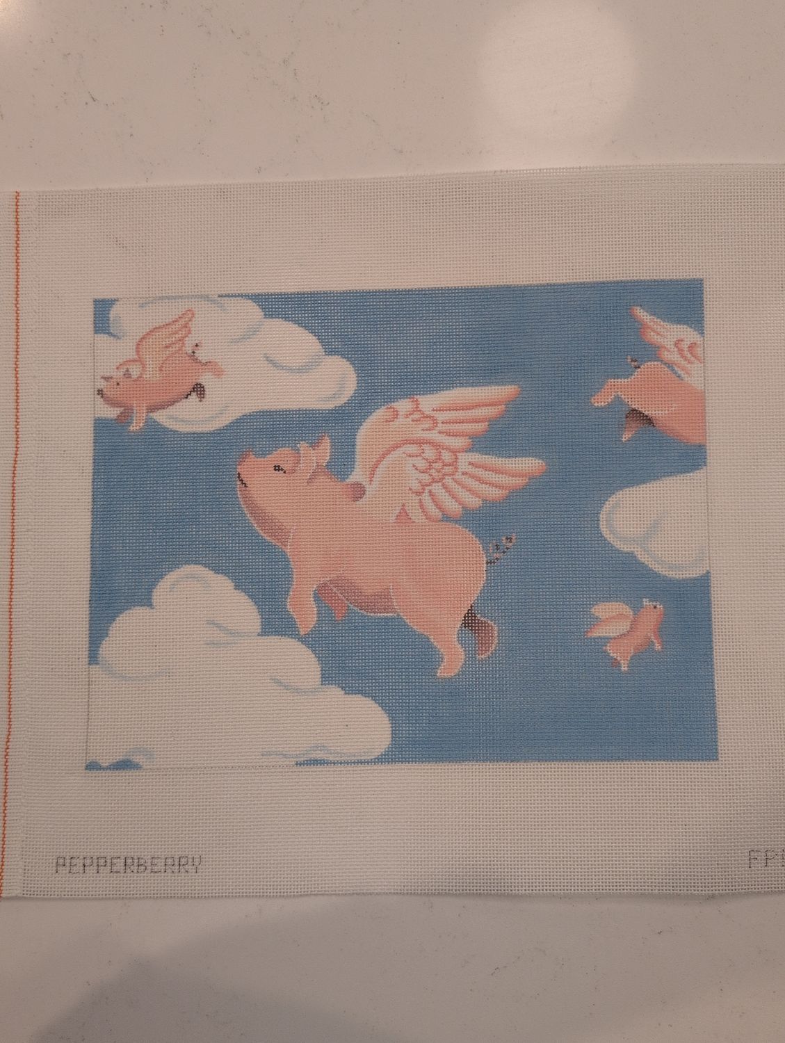 Flying Pigs 18m