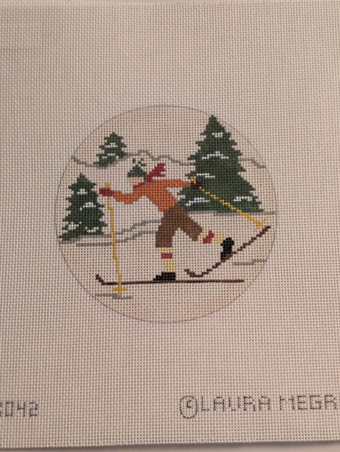 Cross Country Skiier