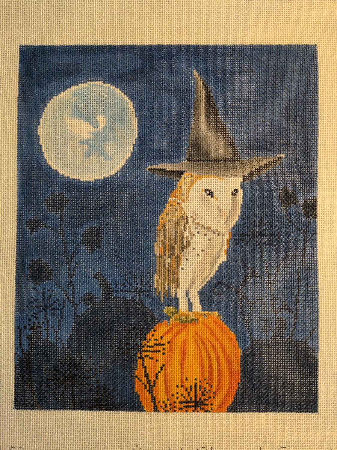Hatted Barn Owl