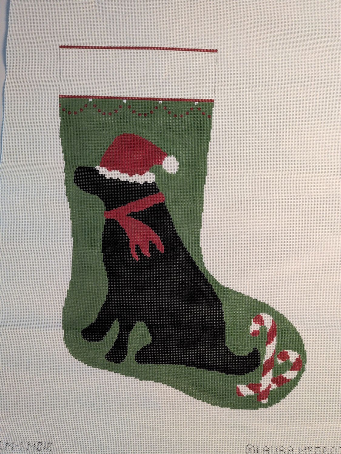 Black Lab (right or left toe)