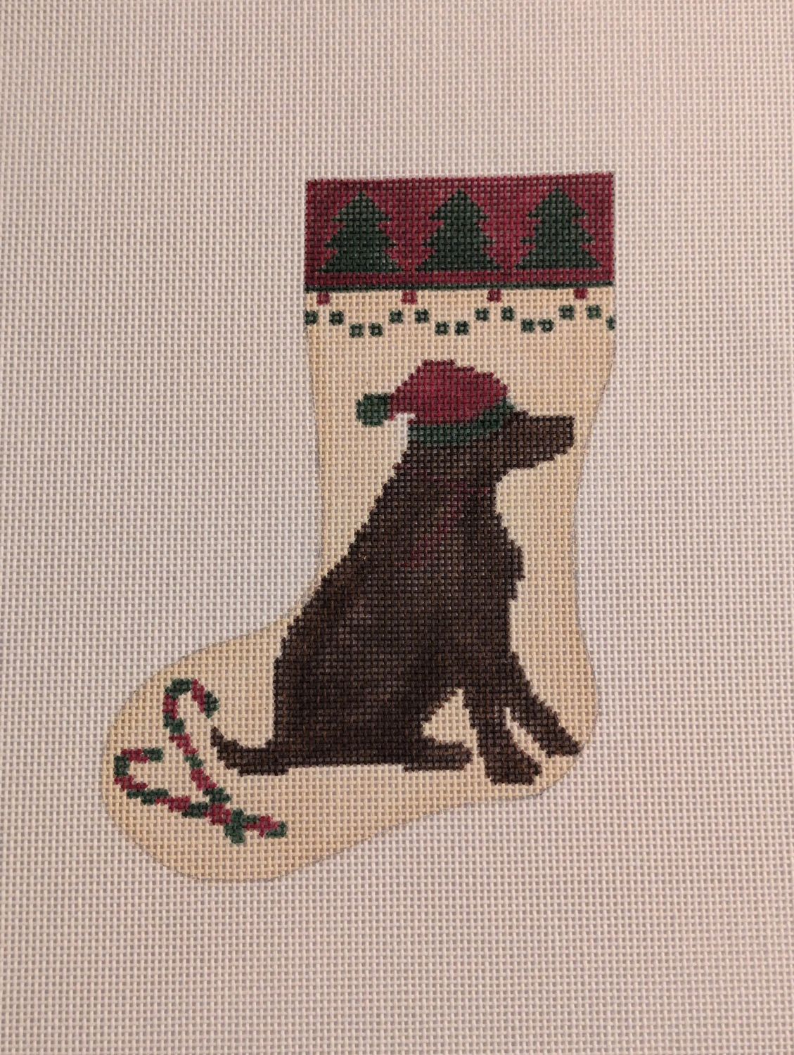 Chocolate Lab
