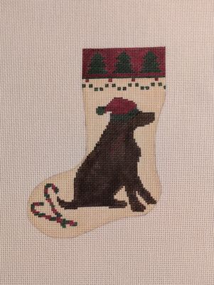 Chocolate Lab