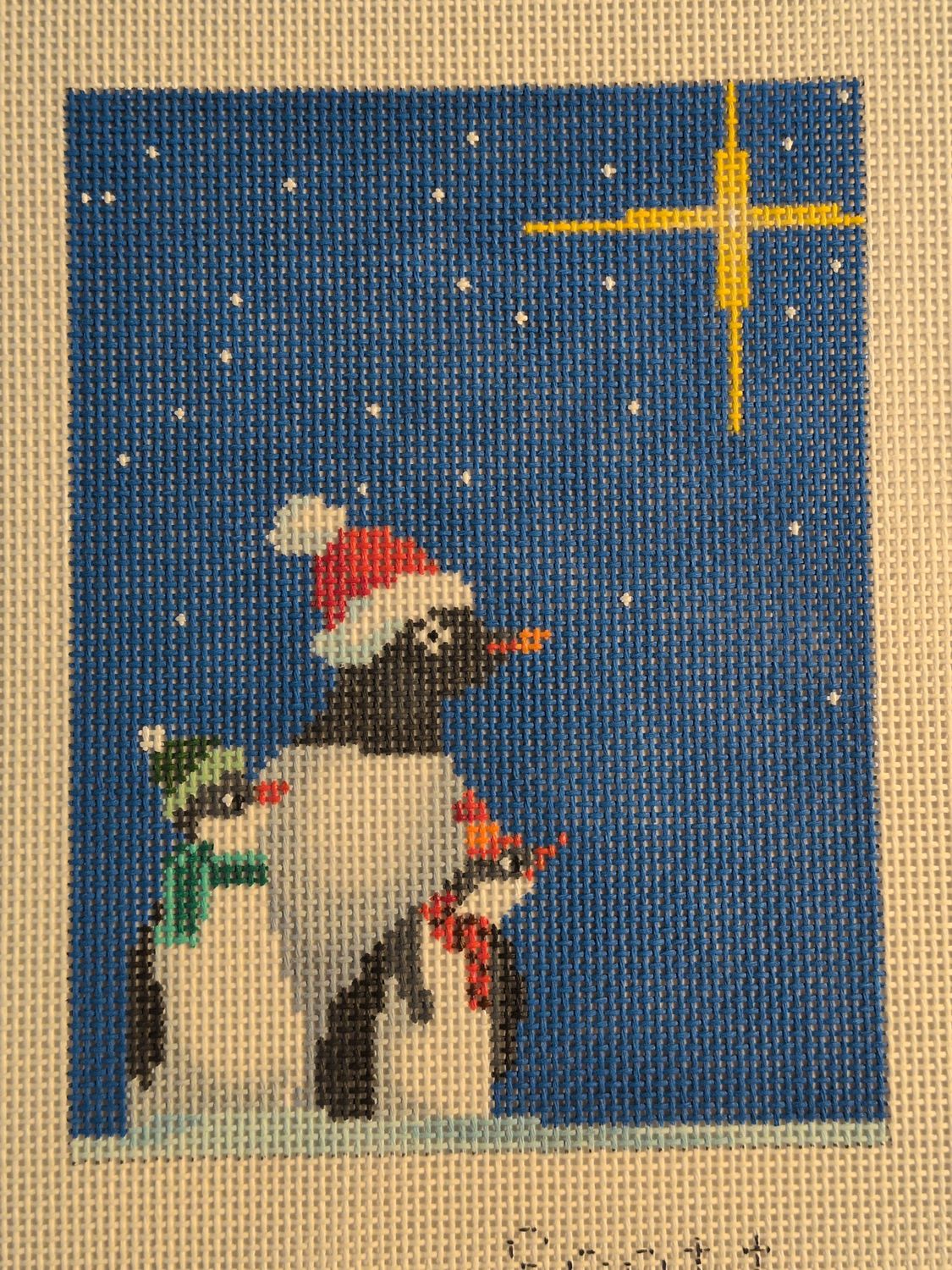 Penguins with North Star