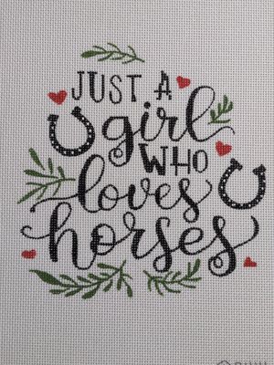 Just a girl who loves horses