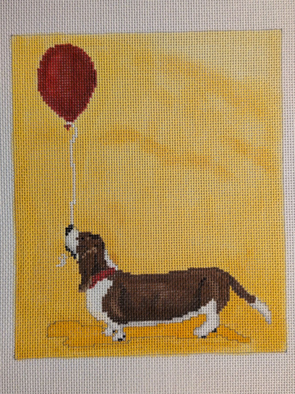 It’s your day dawg (Bassett Hound)