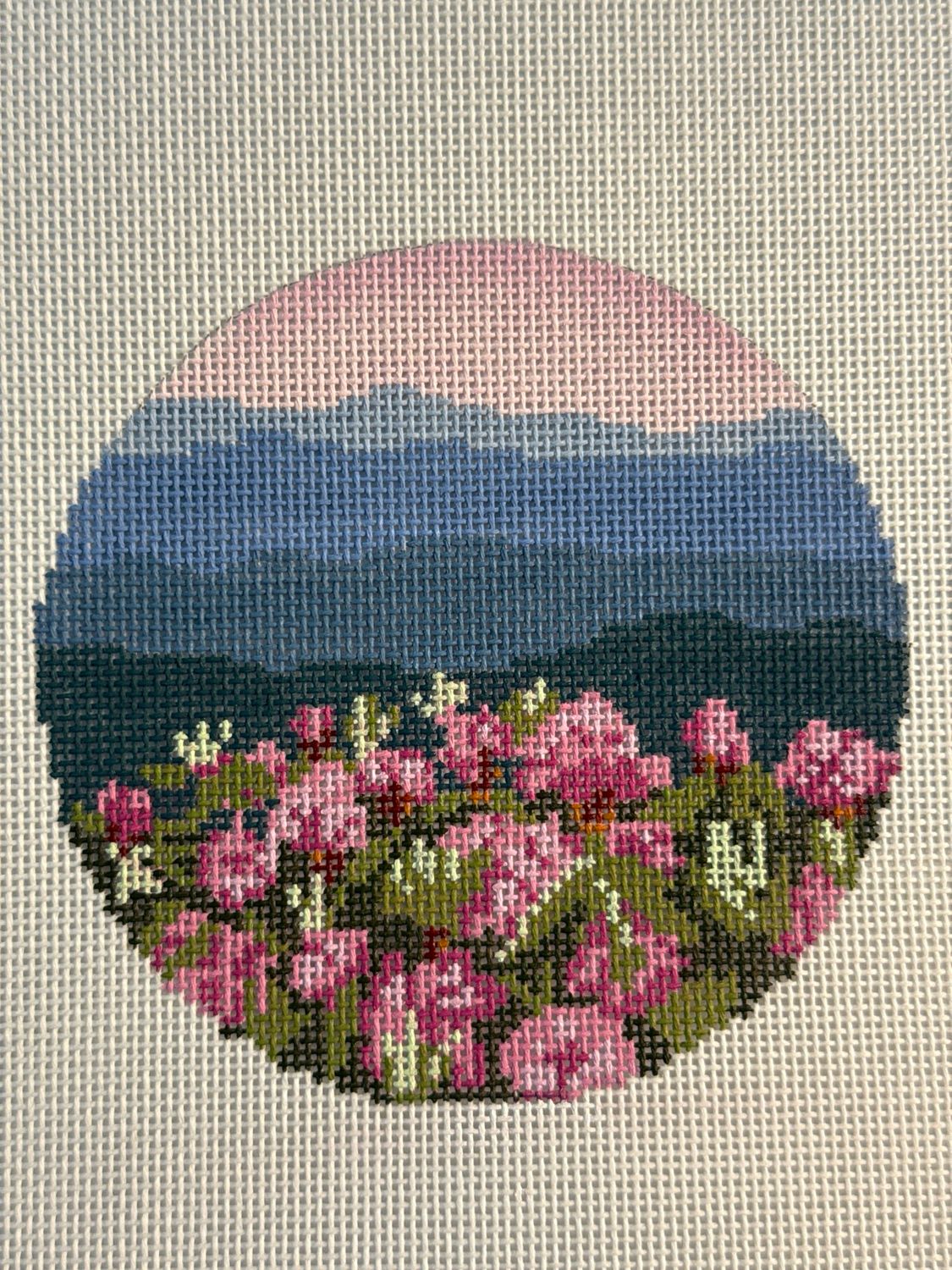 Rhododendron on Blue Ridge