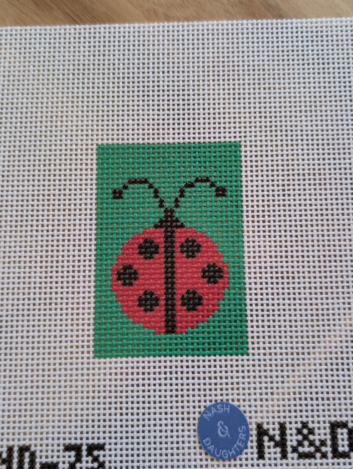 Ladybug Luggage Tag Insert