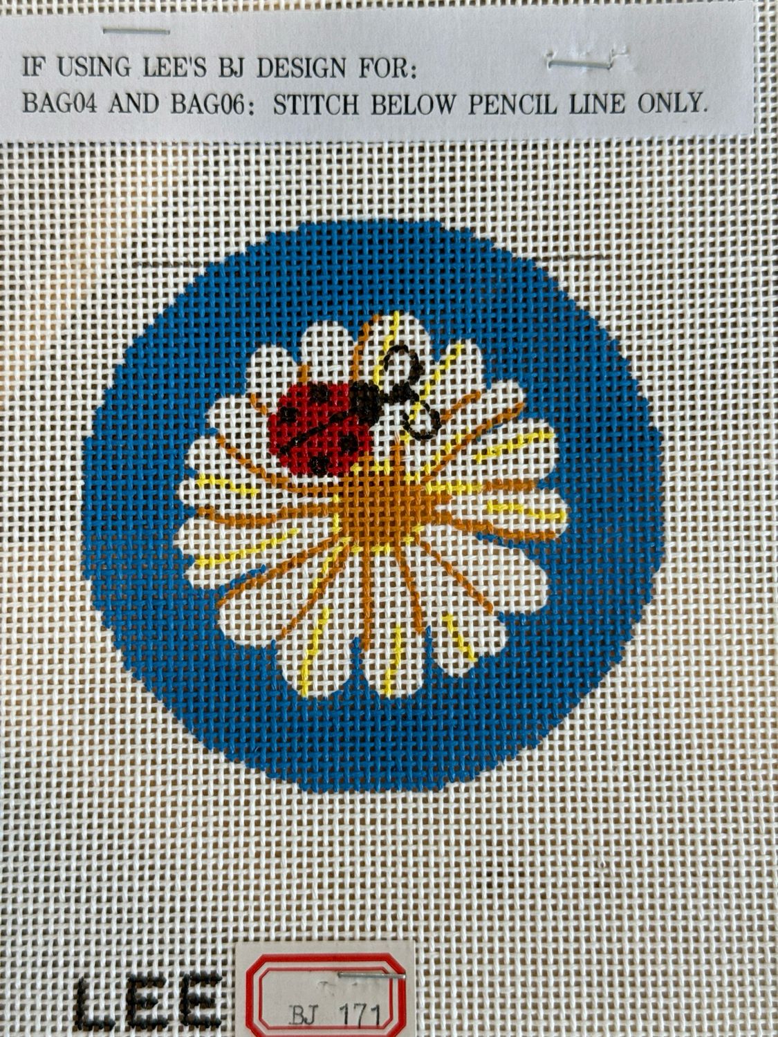 Ladybug on Daisy