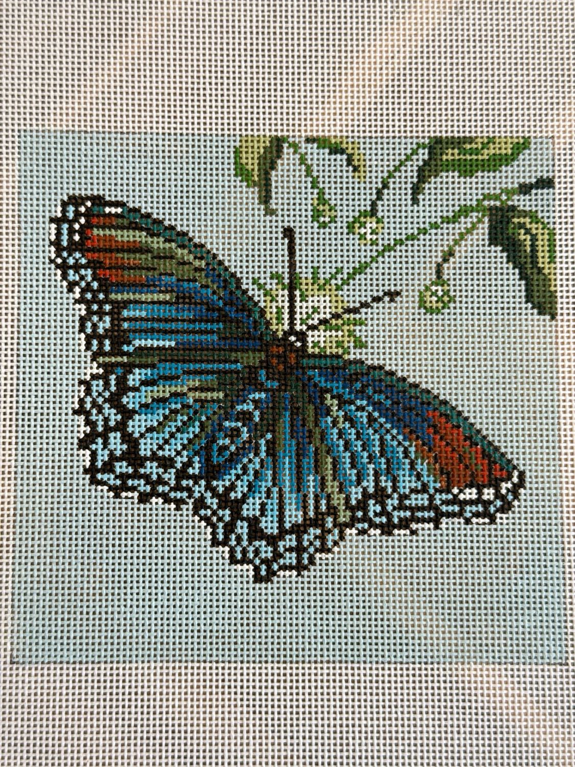 Red Spotted Purple Butterfly