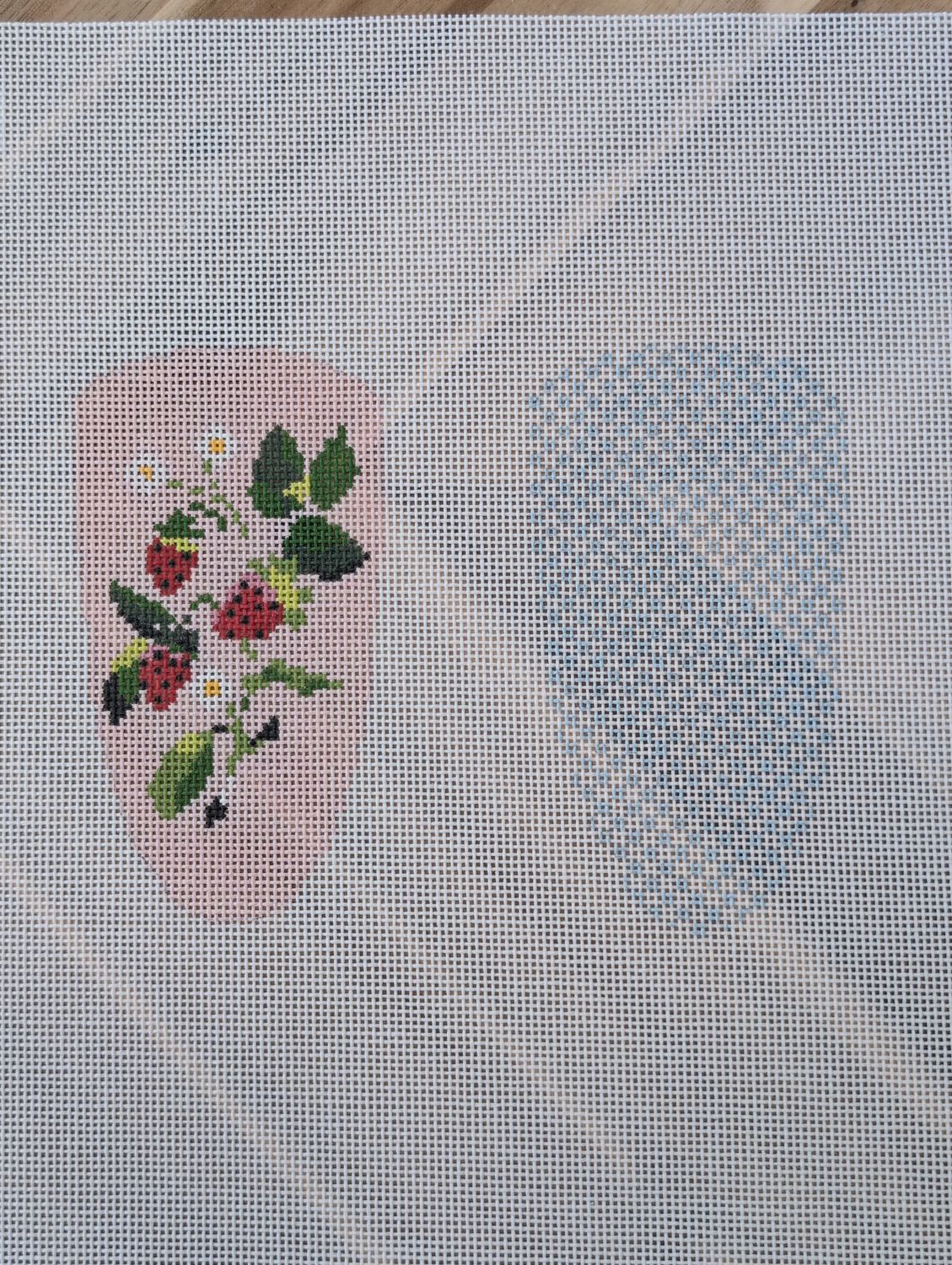 Strawberry Series - Scissor Case
