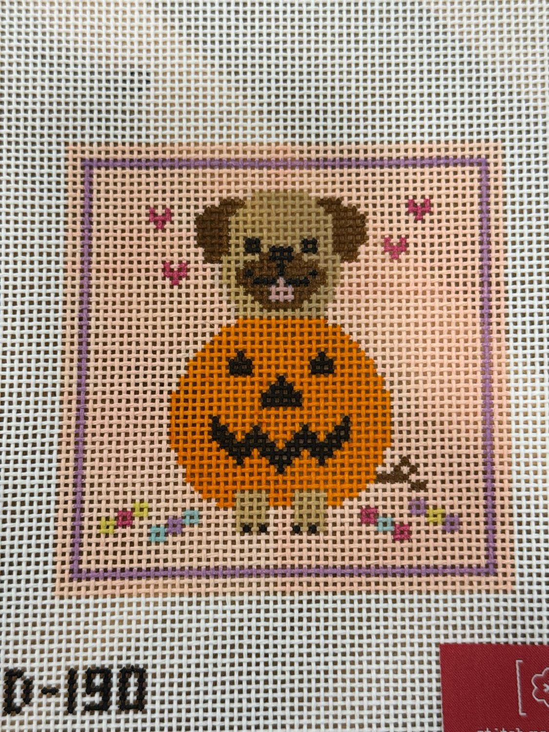 Pug in a Pumpkin