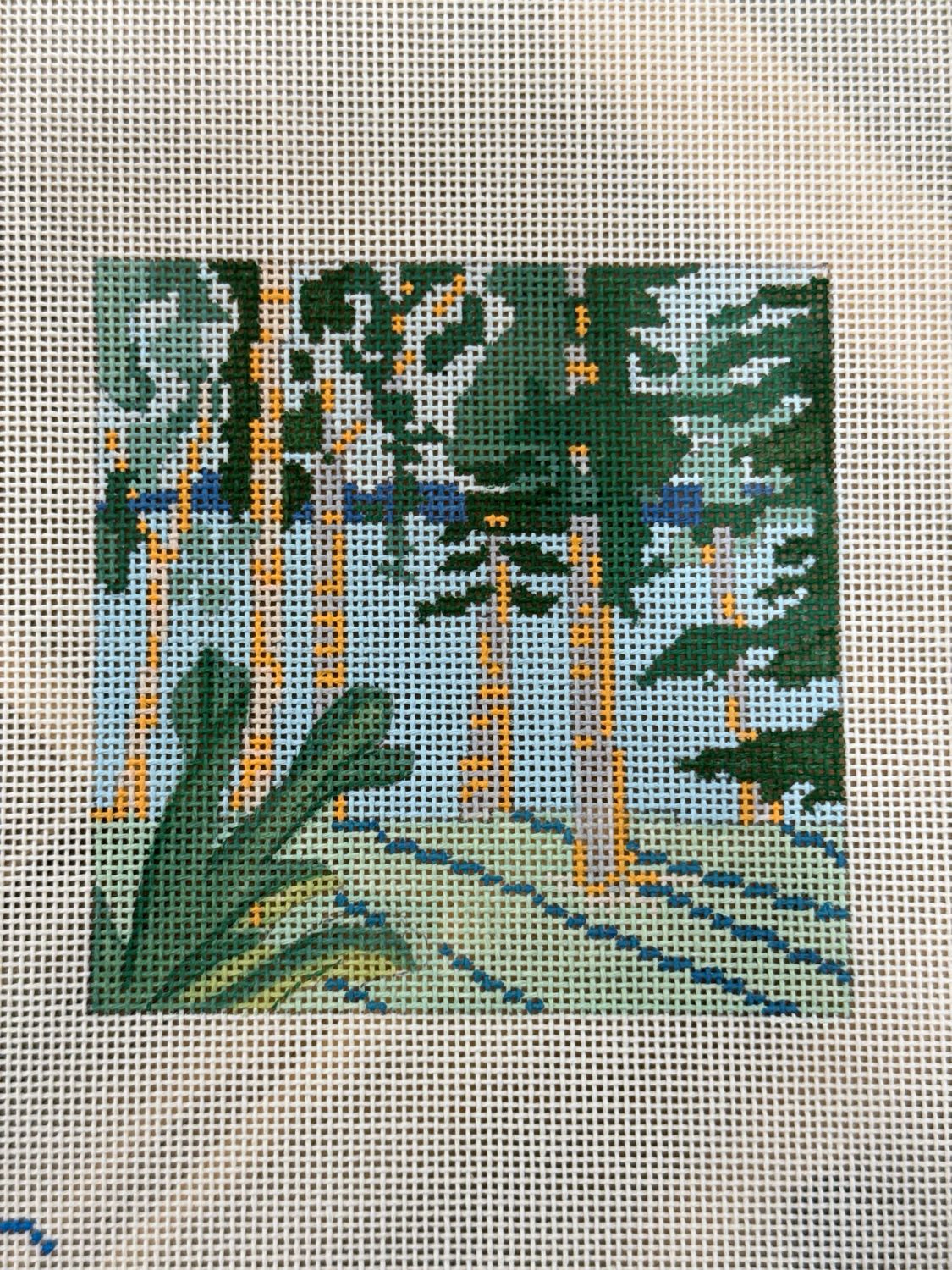 Birch Tree Lake View