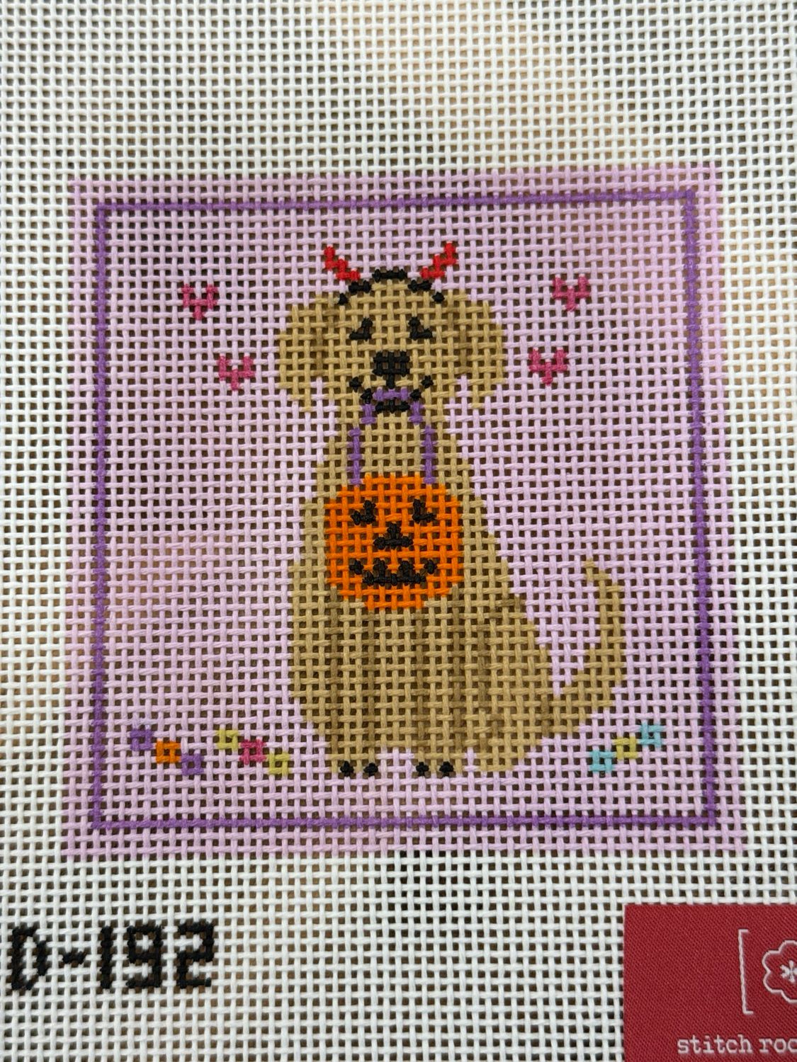 Trick-or-Treat Pup