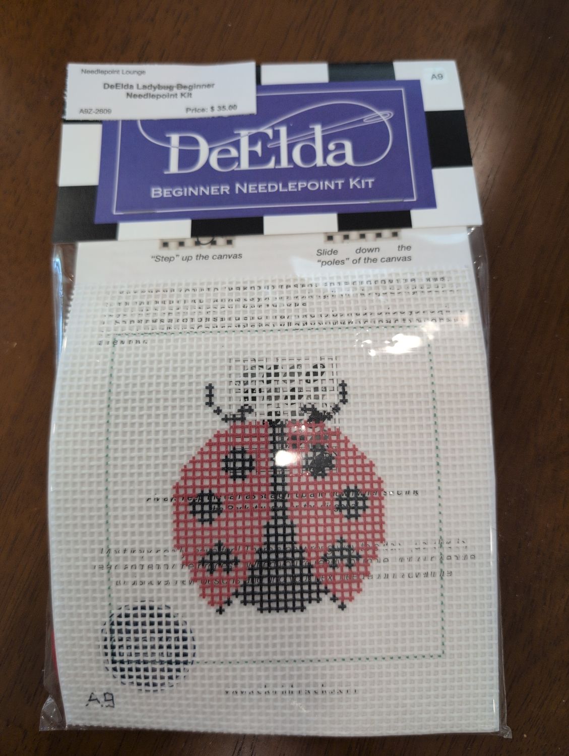 DeElda Ladybug Beginner Needlepoint Kit