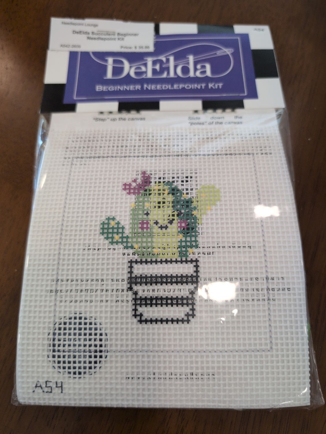 DeElda Succulent Beginner Needlepoint Kit