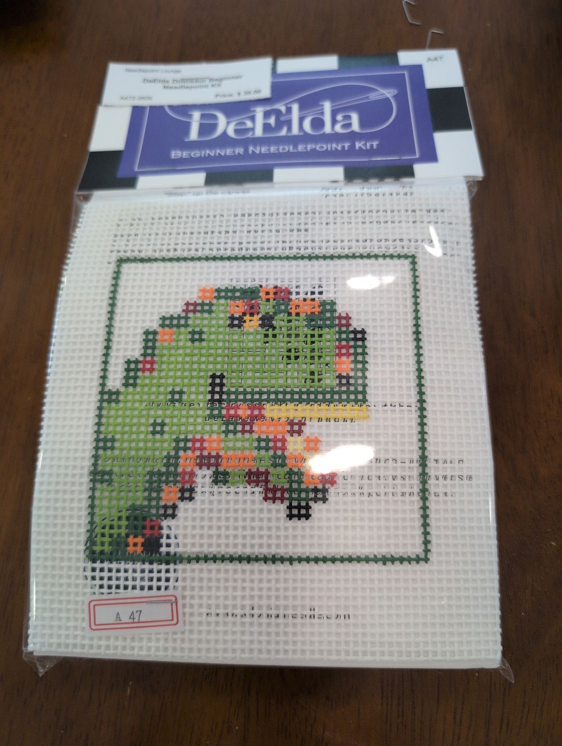 DeElda Dinosaur Beginner Needlepoint Kit