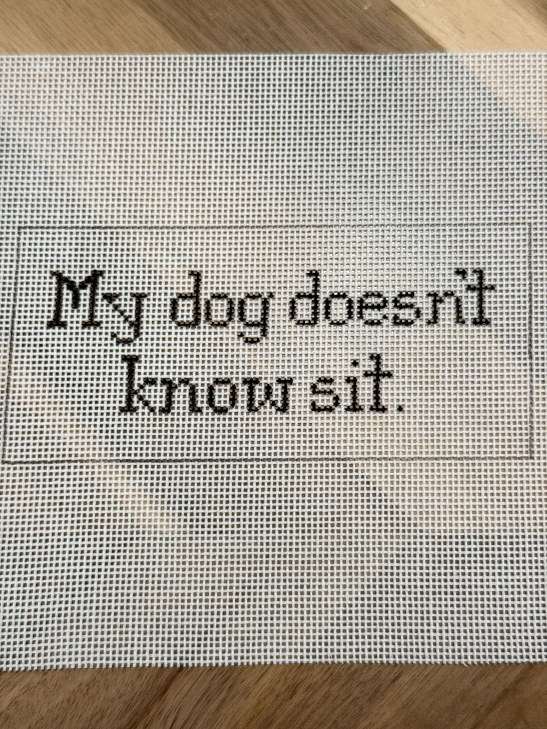 My Dog Doesn't Know Sit