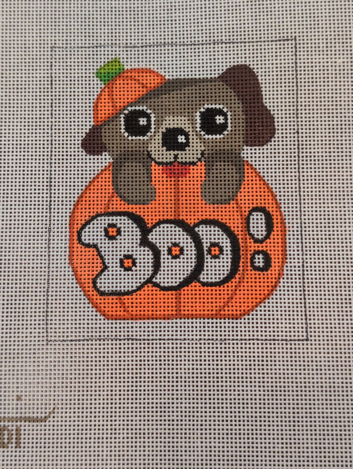 Dog in Pumpkin