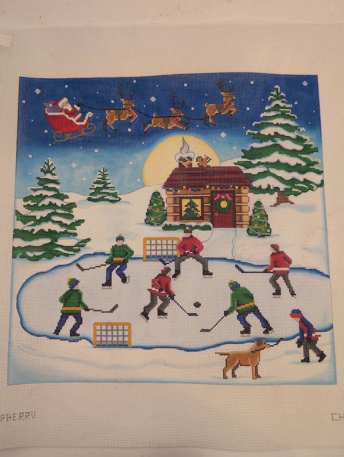 Pond Hockey Fly Over