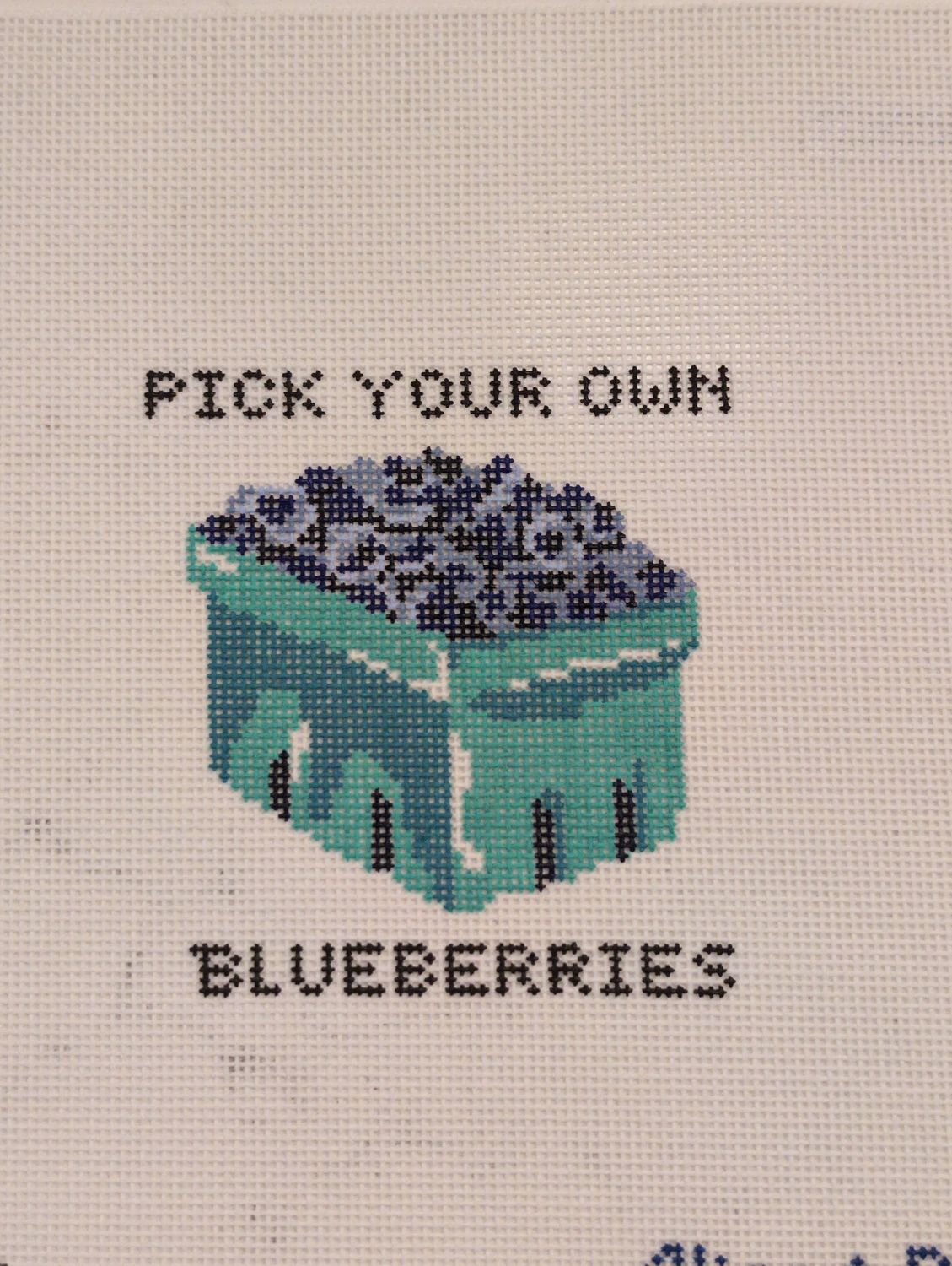 Pick Your Own Blueberries
