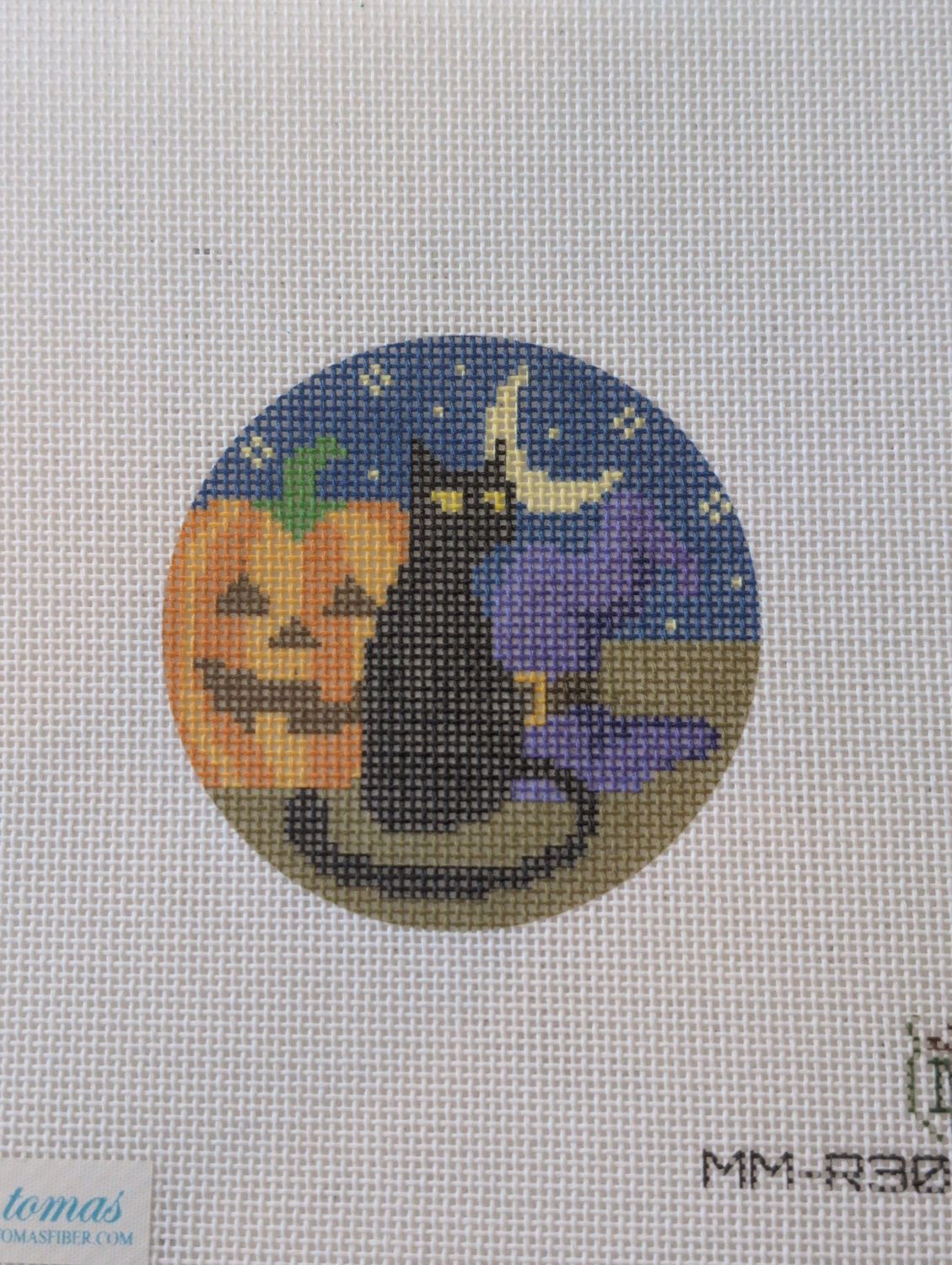Witch's Cat