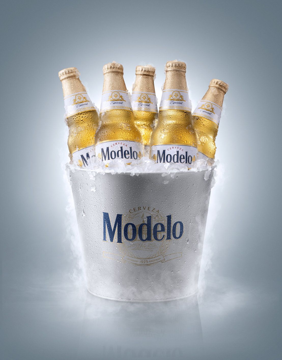 CUBETAZO 4 CERVEZA MODELO RUBIA