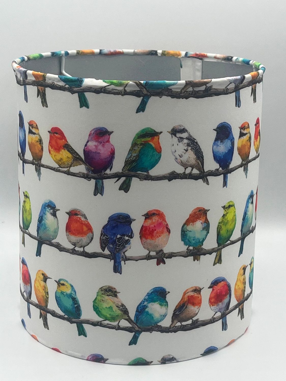Oiseaux multicolores sur la branche