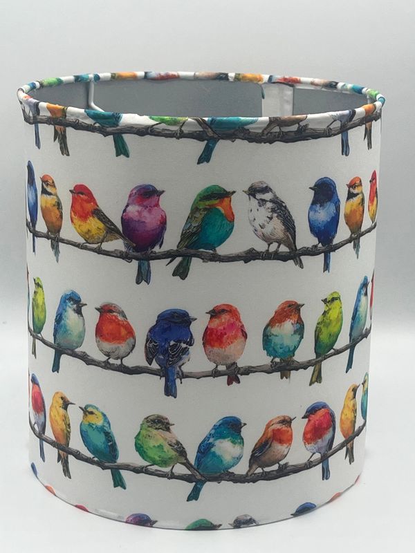 Oiseaux multicolores sur la branche