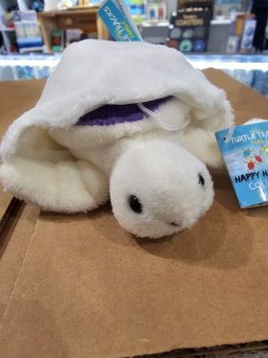 Hatchling Turtles, Color: Purple "Nibbles"