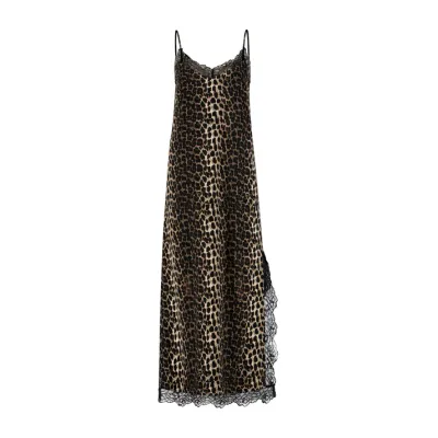 Tijger STUDIO AMAYA