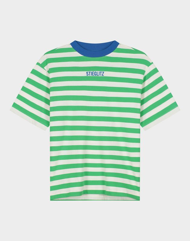 STIEGLITZ Caira Regular T-shirt green