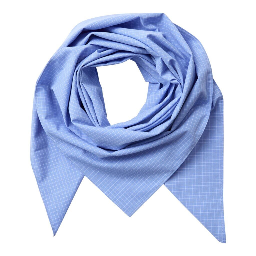 CO’COUTURE ElonaCC Check Scarf