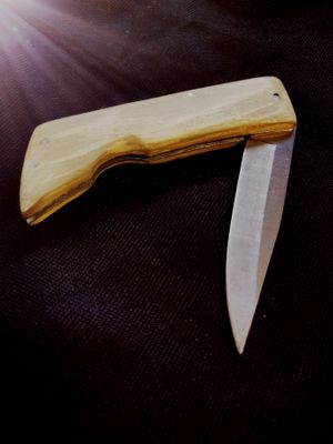 Gentlemans Custom Slip Joint Folder