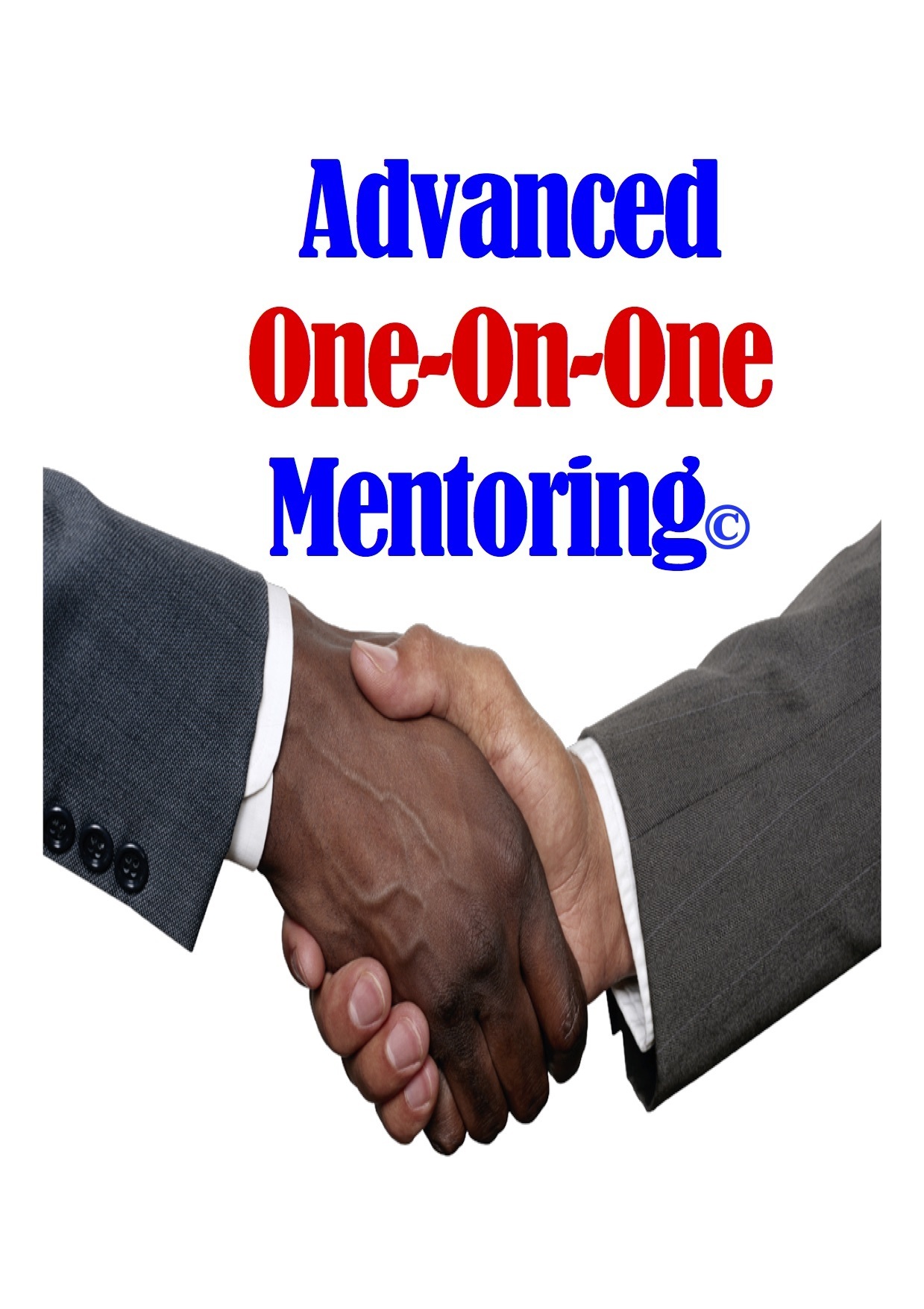 Advanced One-On-One Mentoring Sessions ©​ 00010