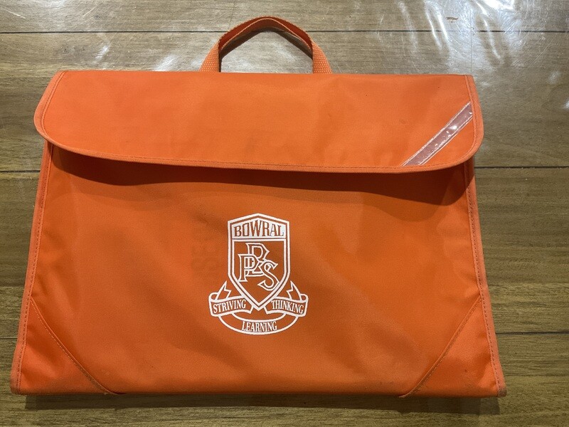 Library Bag