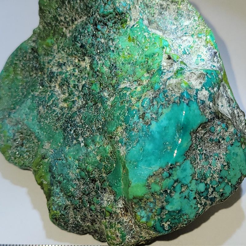 Amazing Natural Gem Grade Kingman AZ Polychrome Water-web Turquoise Nugget 6.4oz