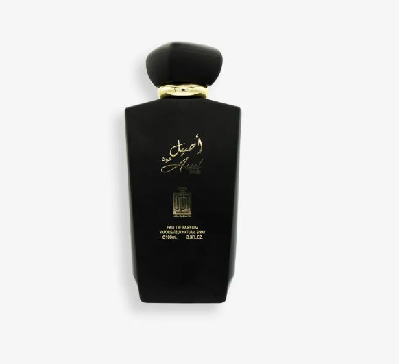 Assel Oud EDP 100ML - Aura