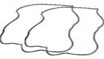 C3AZ-6220530-31A | WEATHERSTRIP - DOOR 2DR SED | F1