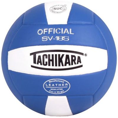 Performance Volleyball - V100 Composite