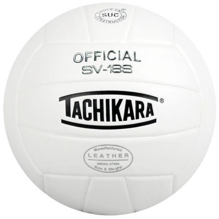 Performance Volleyball - V100 Composite, Color: White