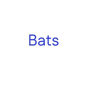 Bats