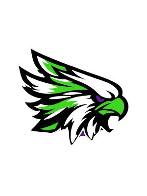 Wellsville Warhawks