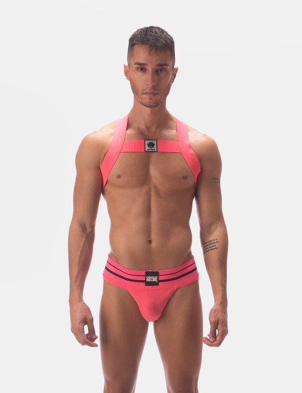 Leonsh Harness - Neon Pink