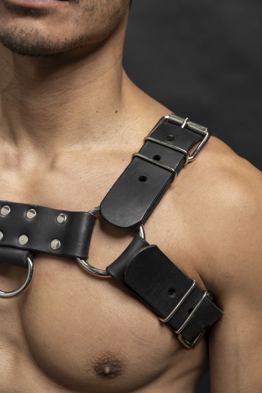 Bull Dog Harness