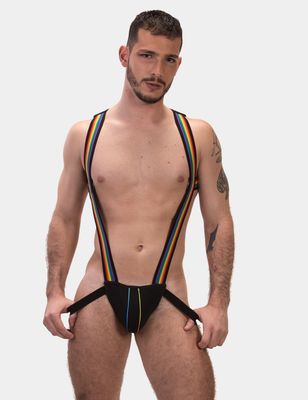Infinity Pride Harness L/XL