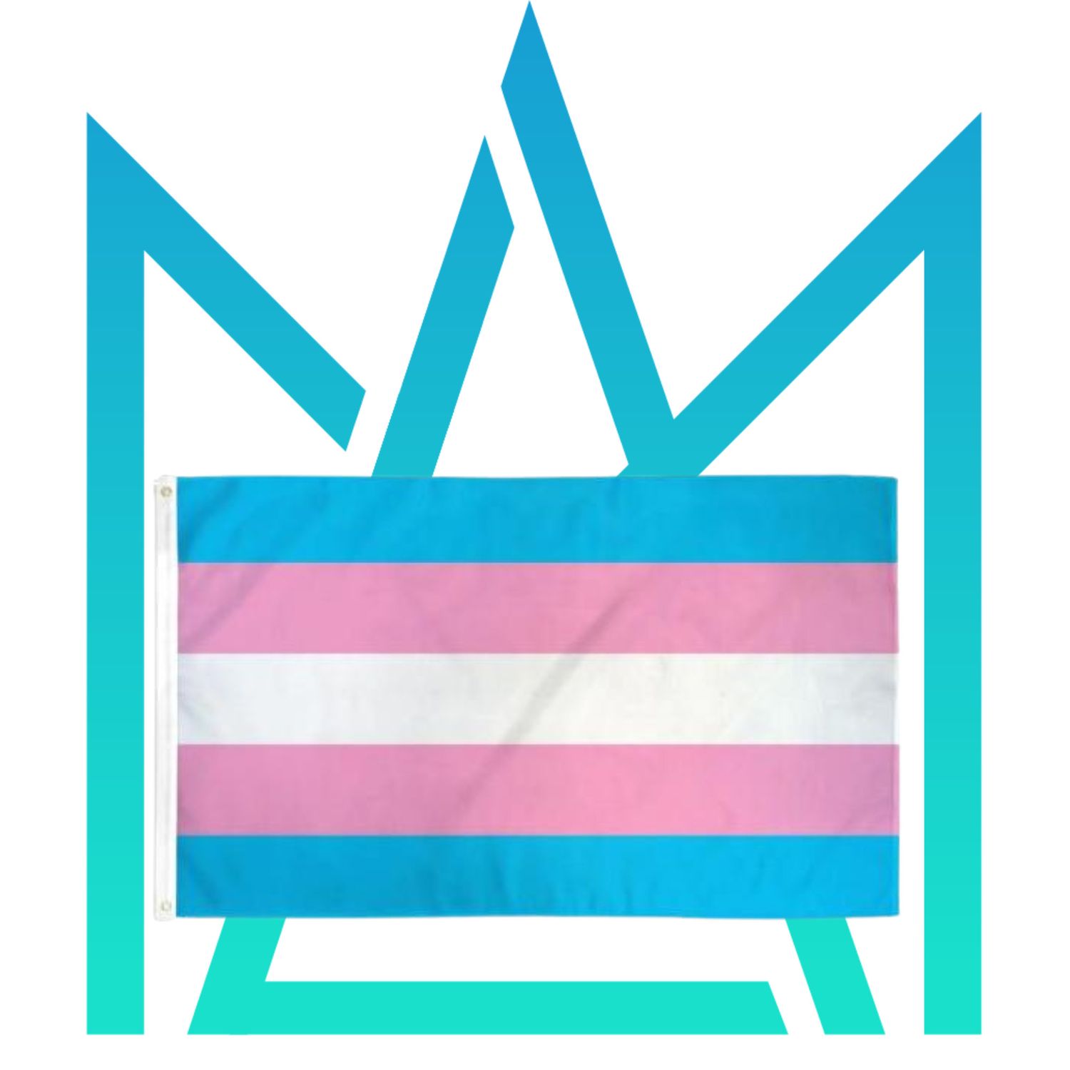 Polyester Transgender Flag 3' x 5'