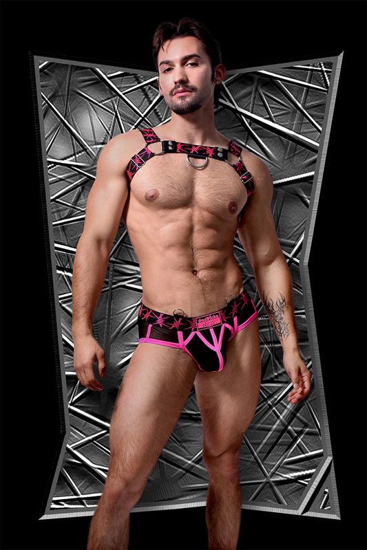 Stinger Brief