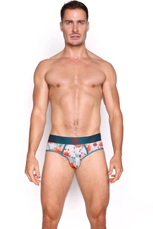 Playful Poppy Briefs