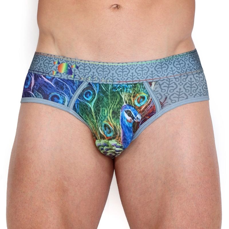 Peacock Rainbow Brief